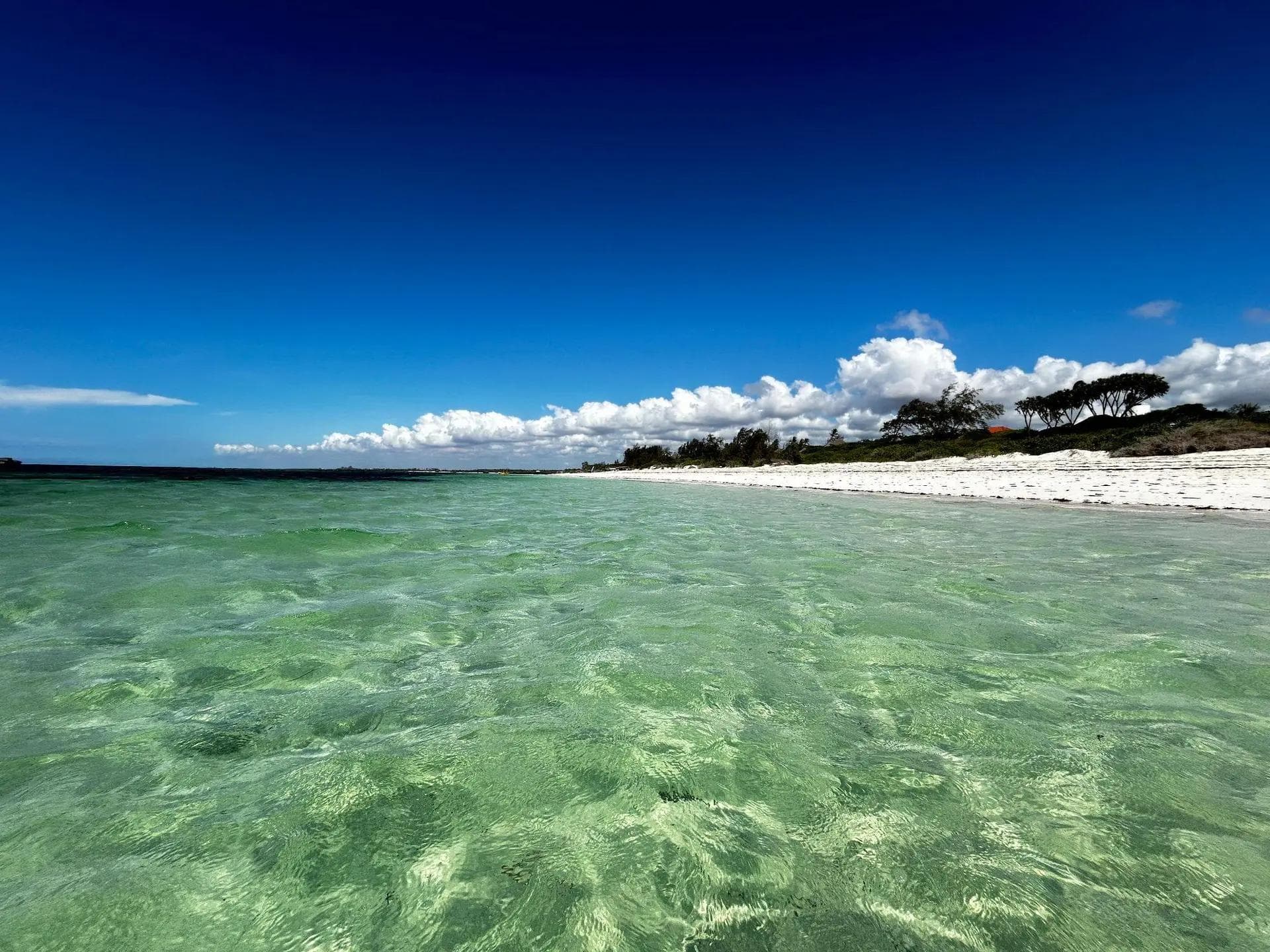 turtle-bay-beach-watamu-klickenya