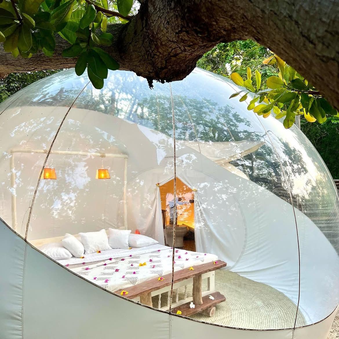 rock and sea bubble lodge boutique hotel