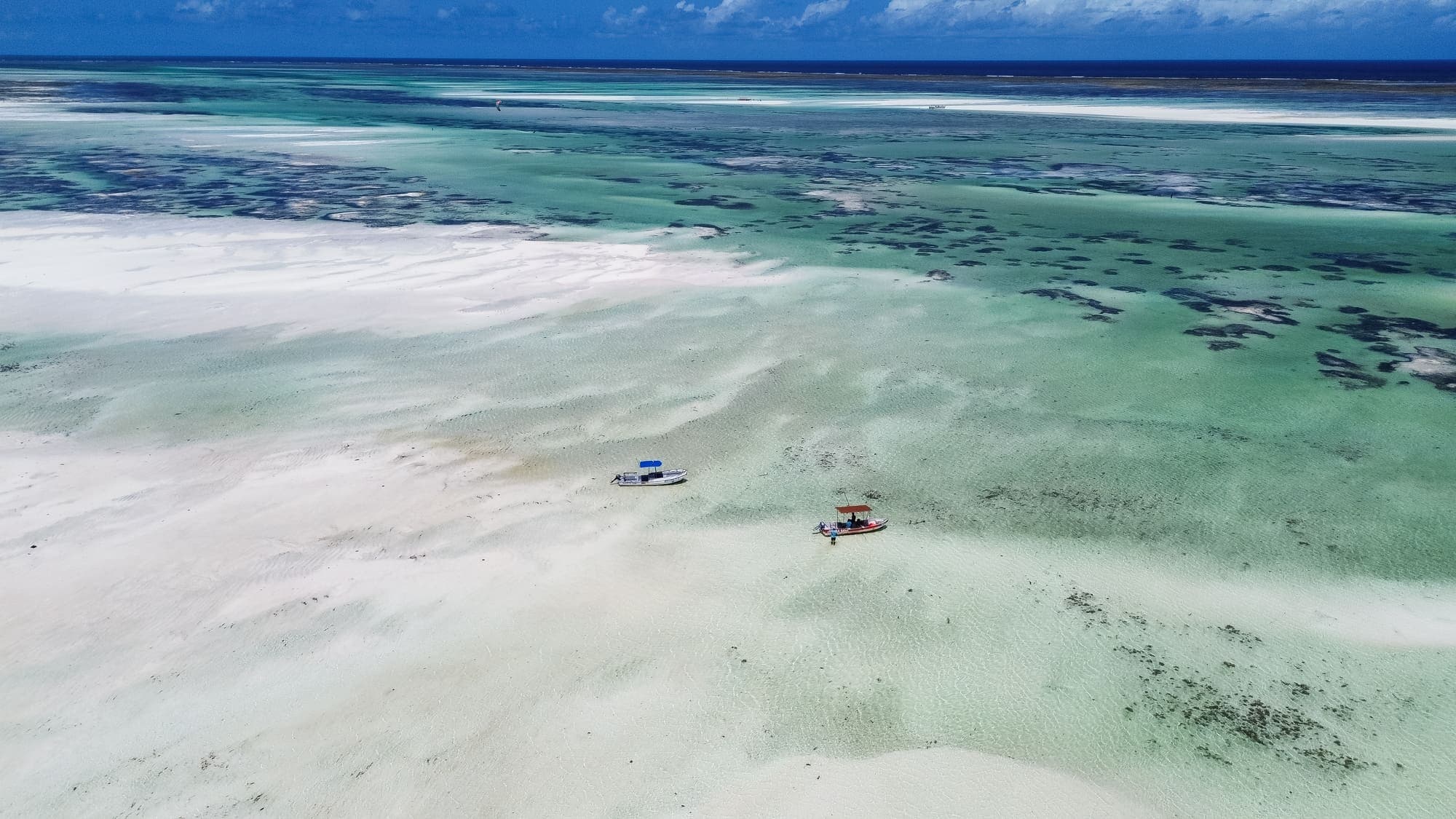 Jacaranda sandbanks at mid-tide