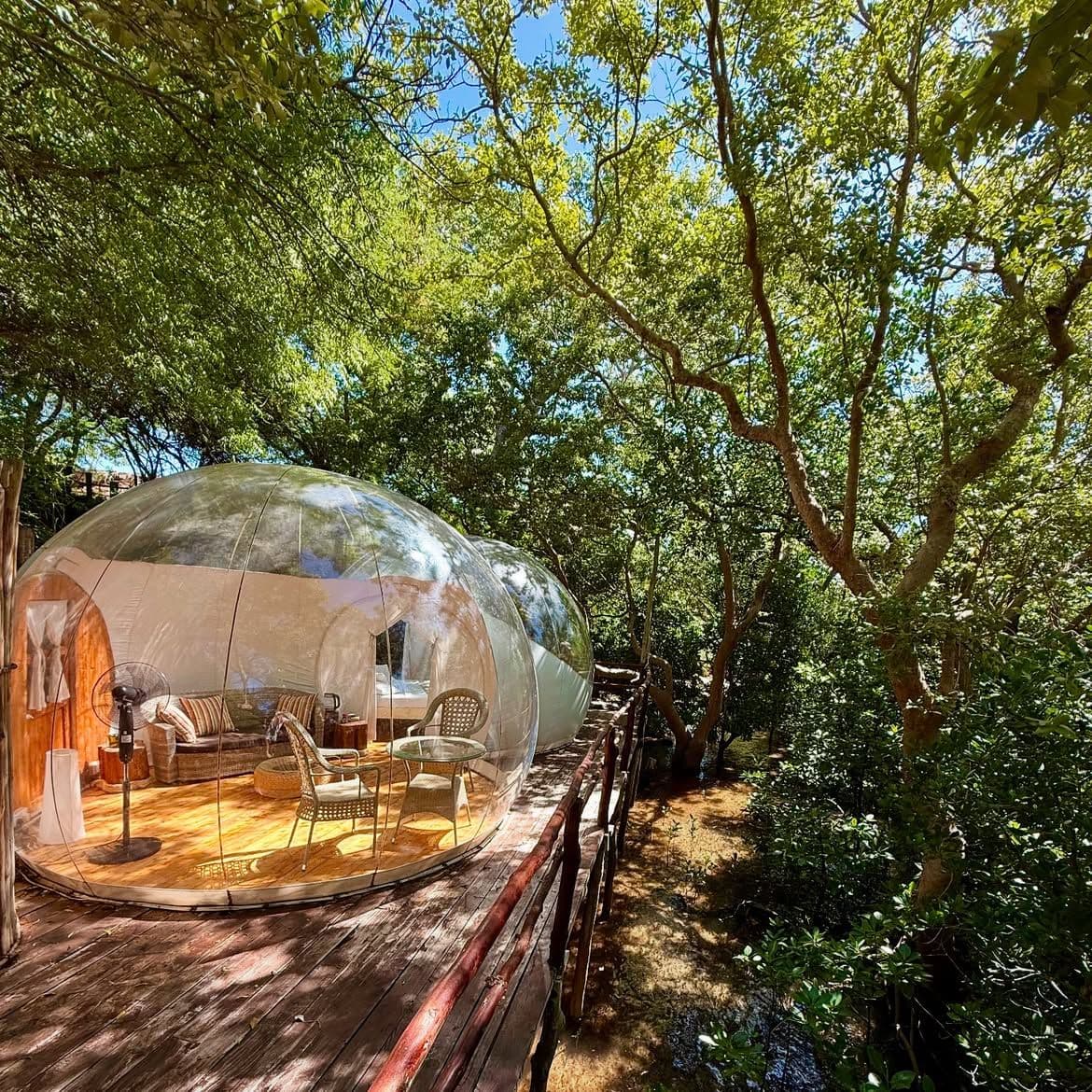 rock and sea bubble lodge boutique hotel
