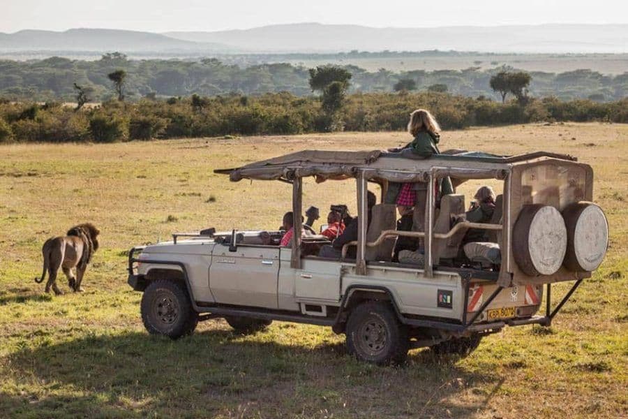 Acacia tree and open savannah at sunset in a Kenyan national park