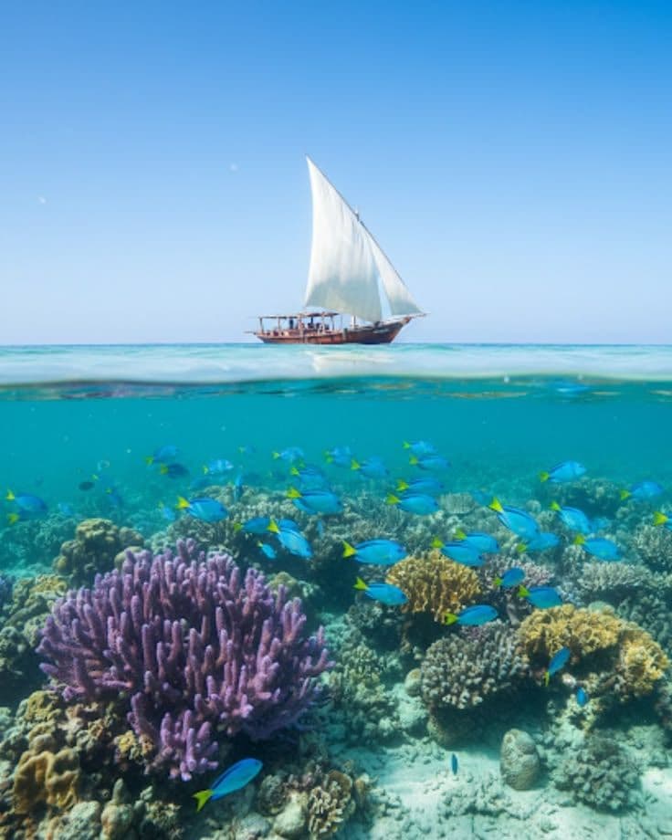 Watamu Dhow ride marine park klickenya