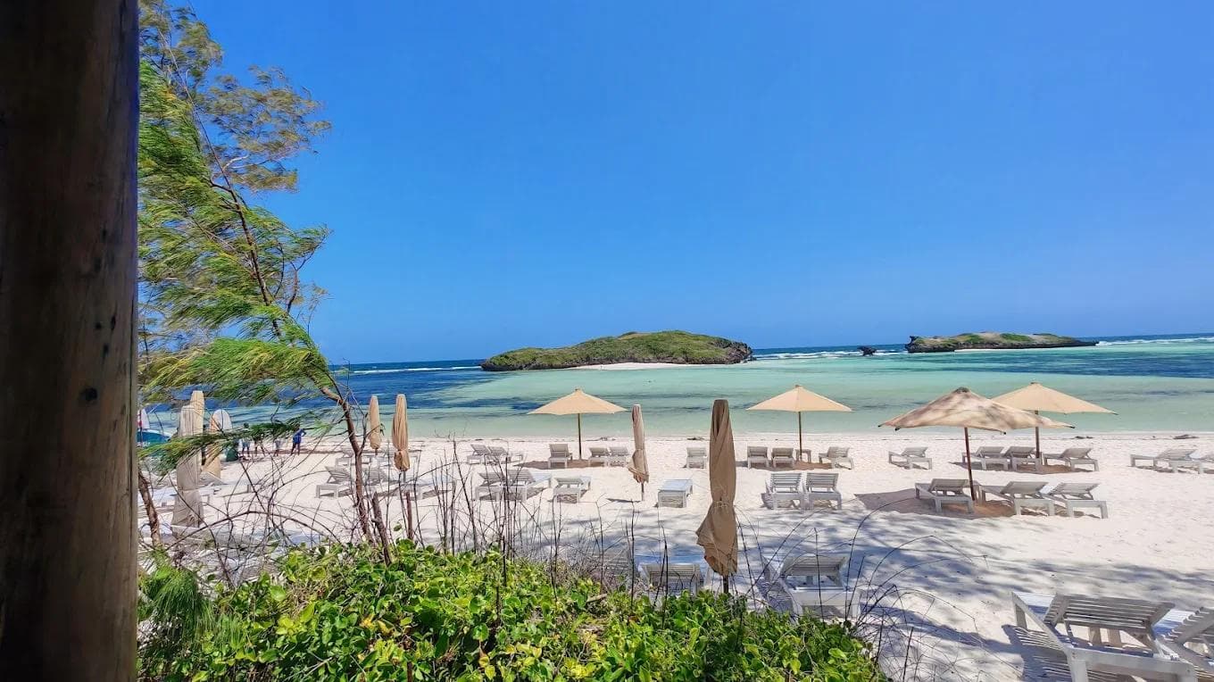 papa remo beach restaurant watamu